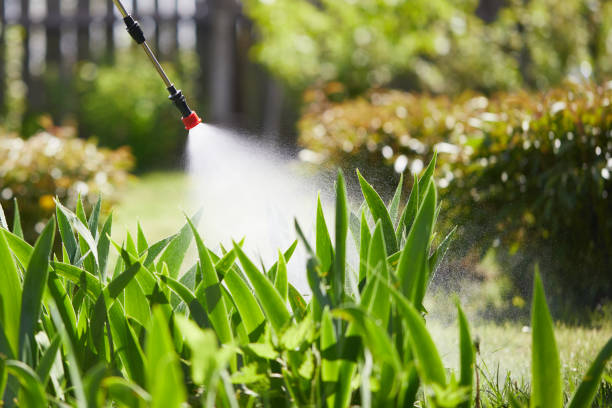 24/7 Emergency Mosquito Control experts in Maplewood, MO